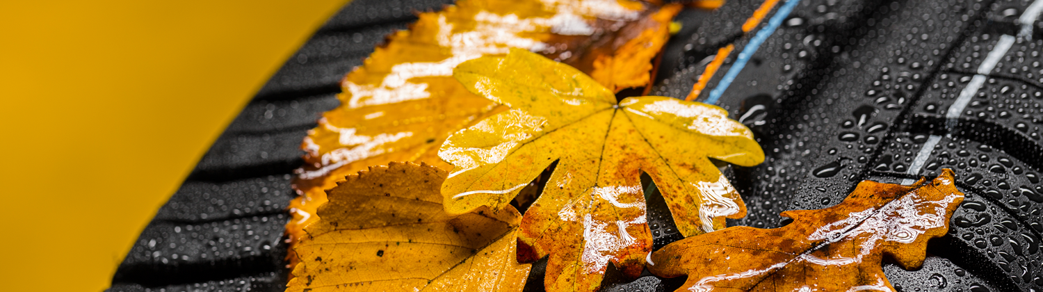 All Weather Tires